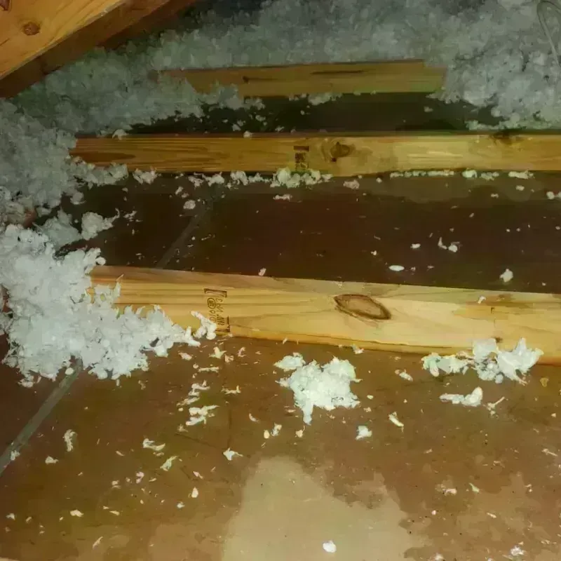 Attic Water Damage in Grand Blanc, MI