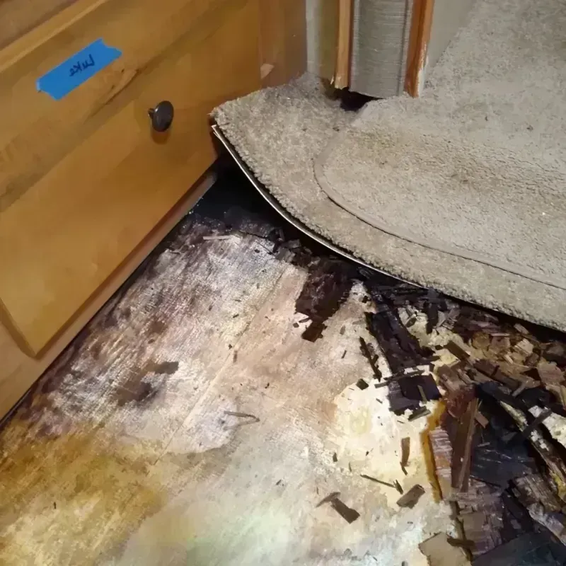 Wood Floor Water Damage in Grand Blanc, MI